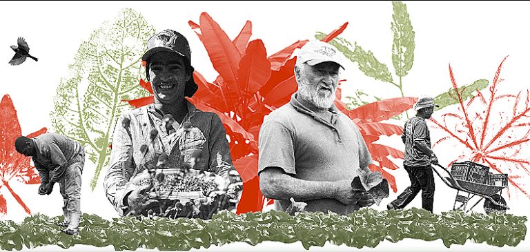 Você sabe qual é a diferença entre agricultura orgânica e agroecologia?