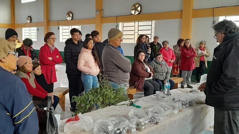 Ervas medicinais: frade capuchinho divulga fitoterapia para estimular saúde e bem-estar no RS