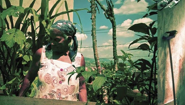 Bem Viver na TV: Como a agricultura urbana pode atuar no combate a fome?