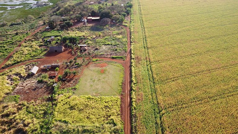'Assédio do agronegócio é o maior desafio para as comunidades indígenas', diz liderança da CPT