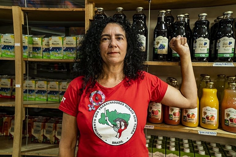 Marina do MST foi eleita em 2022 com mais de 46 mil votos