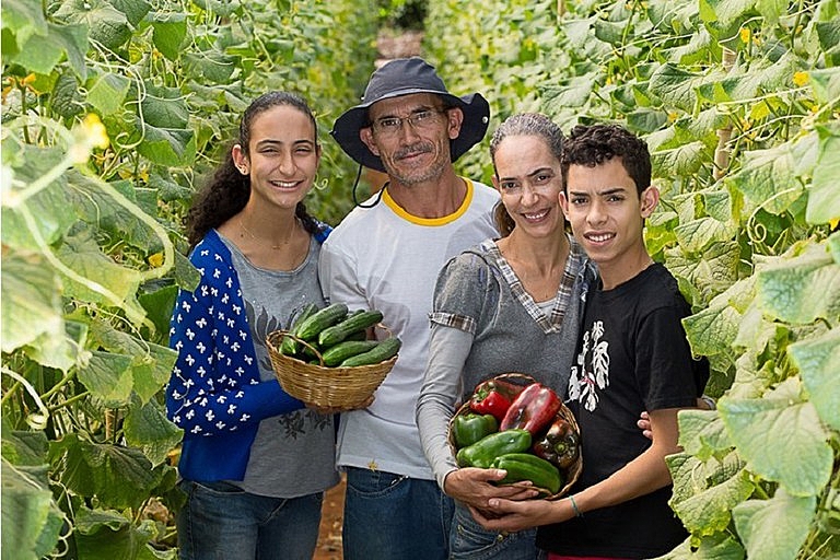 Agricultura familiar produz a maior parte dos alimentos básicos que vão à mesa da população do país