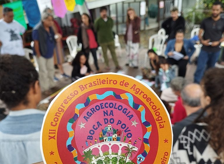 Articulação de Agroecologia propõe projetos de agricultura familiar para eleições municipais