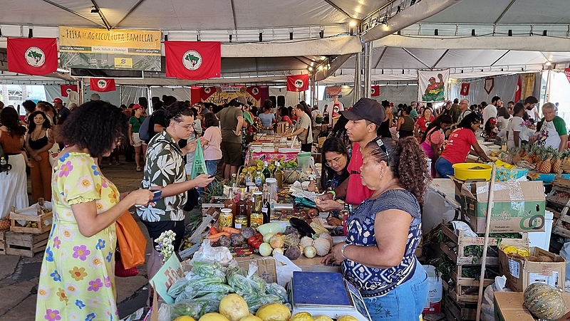 festival do mst