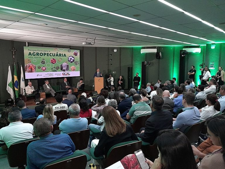 Conab aponta para recuperação de área de arroz e feijão na safra 2023/2024