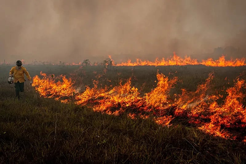 Bombeiros tentam dominar poltica de combate a incndios florestais  discutida no Congresso | Brasil de Fato