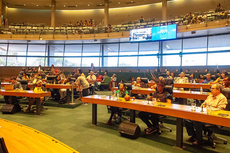 Audiência na Câmara Legislativa discute garantias de territórios indígenas do DF
