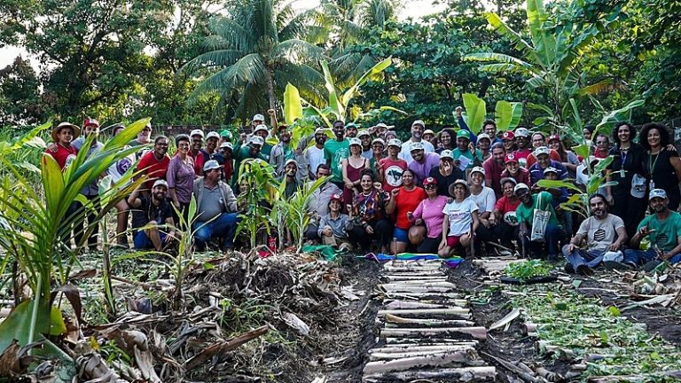 Mãos Solidárias, do MST, realiza curso de agroflorestas na RMR