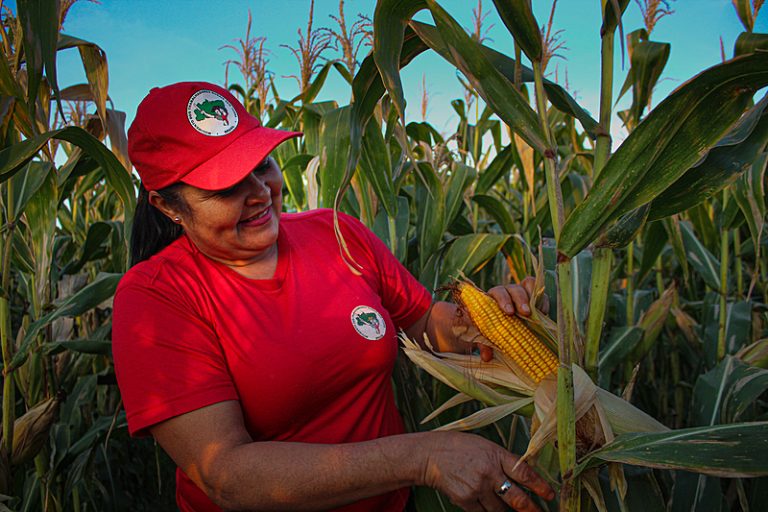 Famílias sem terra do Paraná transformaram áreas ocupadas em espaço de agricultura orgânica 