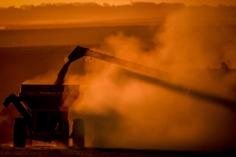 Price of export commodities such as soy puts pressure on food prices.
