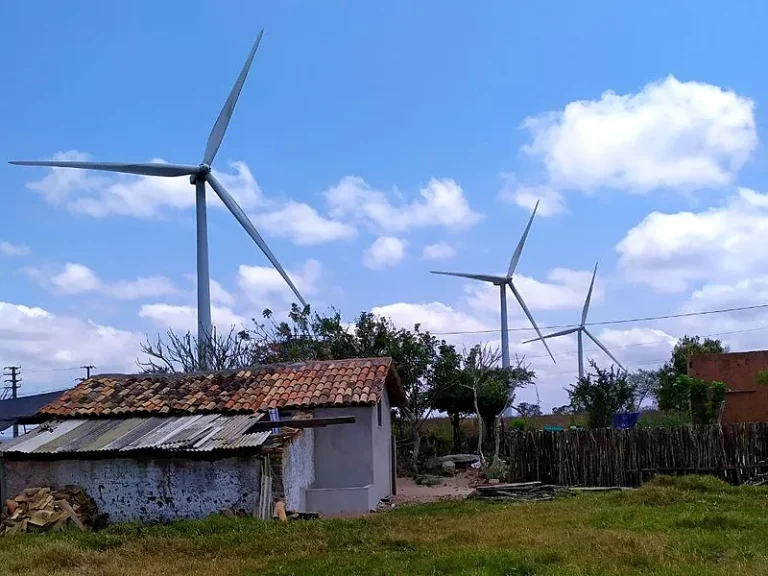 Energia eólica no Brasil 'está mais para transação do que transição', alerta especialista