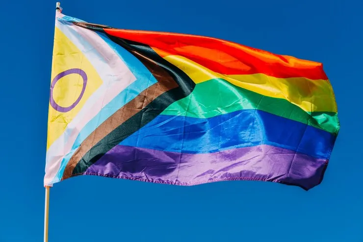 Diversidade sexual na pauta do Estado brasileiro:uma conquista social