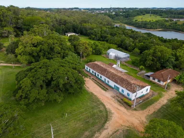 Área de Centro de Pesquisa no RS remanescente do bioma Pampa corre risco de virar loteamento 