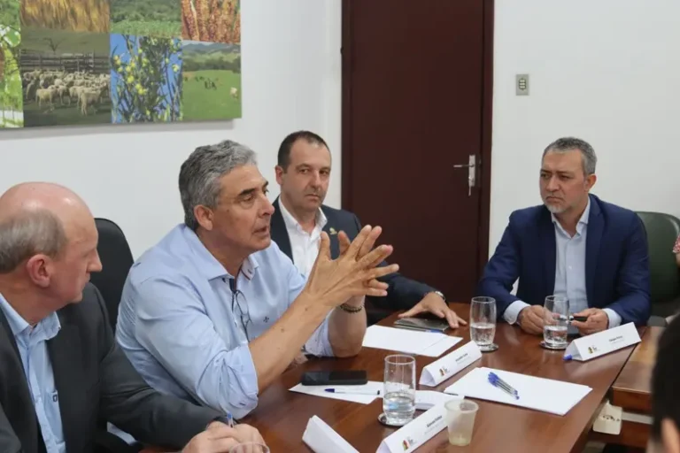 Governo federal se reúne com autoridades gaúchas para tratar de apoio à cadeia do arroz