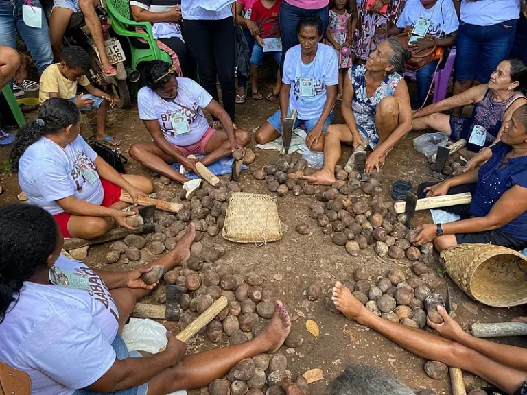 Conheça o Entreposto Viva Babaçu, uma conquista histórica das quebradeiras de coco do Tocantins