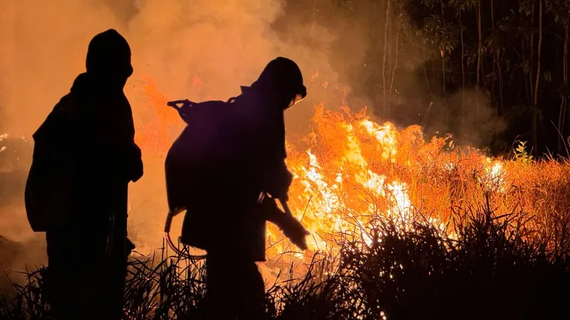 Bombeiros extinguem incêndio florestal no município de Canta, em Roraima