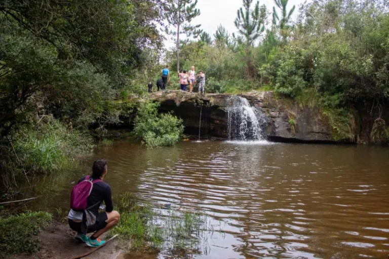 Caminhada na Natureza reúne mais de 400 pessoas no assentamento Contestado, na Lapa (PR)