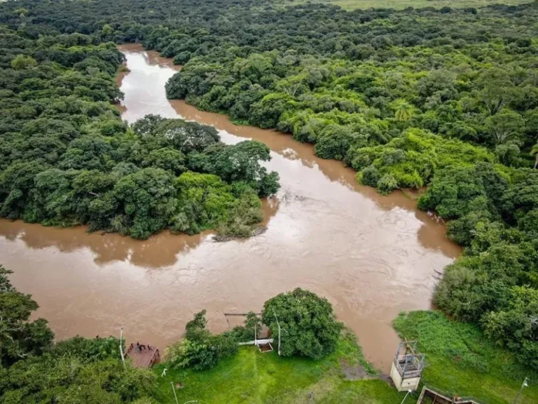 Dia do rio dos Sinos é celebrado com eventos que reforçam a necessidade de preservação 