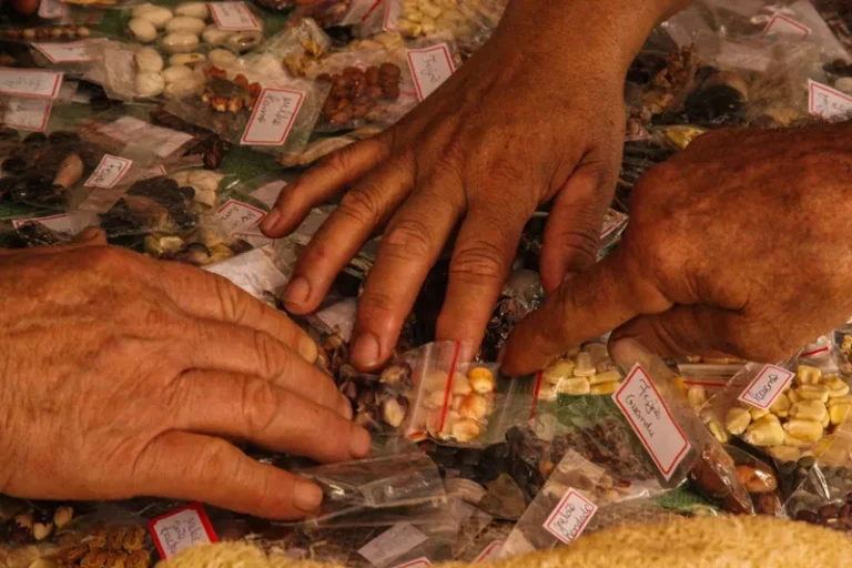 Agricultores quilombolas: a ferida da marginalização histórica 