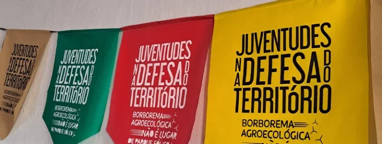Mulheres resistem e fazem agroecologia no Polo da Borborema