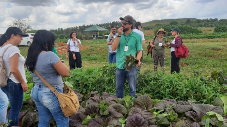 Plantas Alimentícias Não Convencionais são pauta de encontro nacional em São Lourenço do Sul