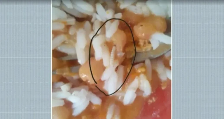 De Olho na Merenda e a urgência do combate à insegurança alimentar e nutricional nas escolas