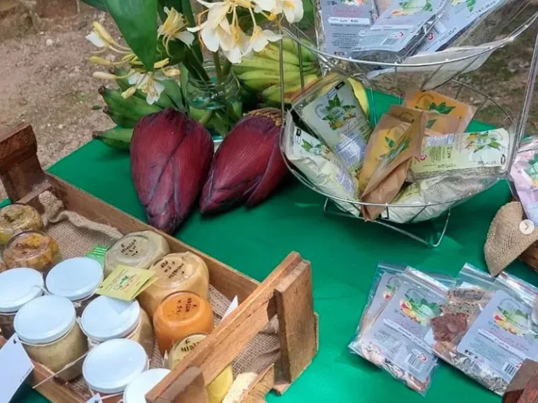 São Lourenço do Sul será a 'capital' das plantas alimentícias não convencionais por três dias