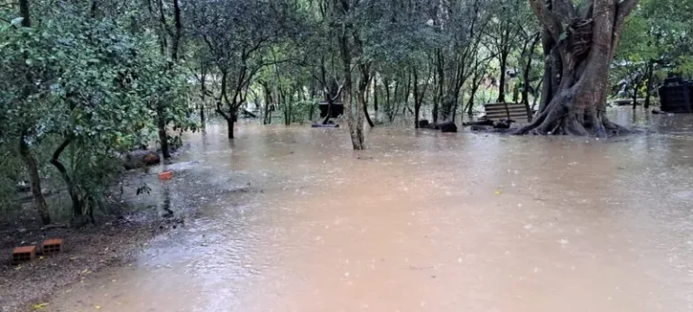 Cheias atingem 80 comunidades indígenas no Rio Grande do Sul; veja como doar 
