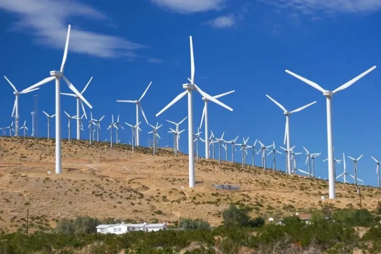 Mais de um terço da área ocupada por eólicas apresenta problemas fundiários, mostra estudo