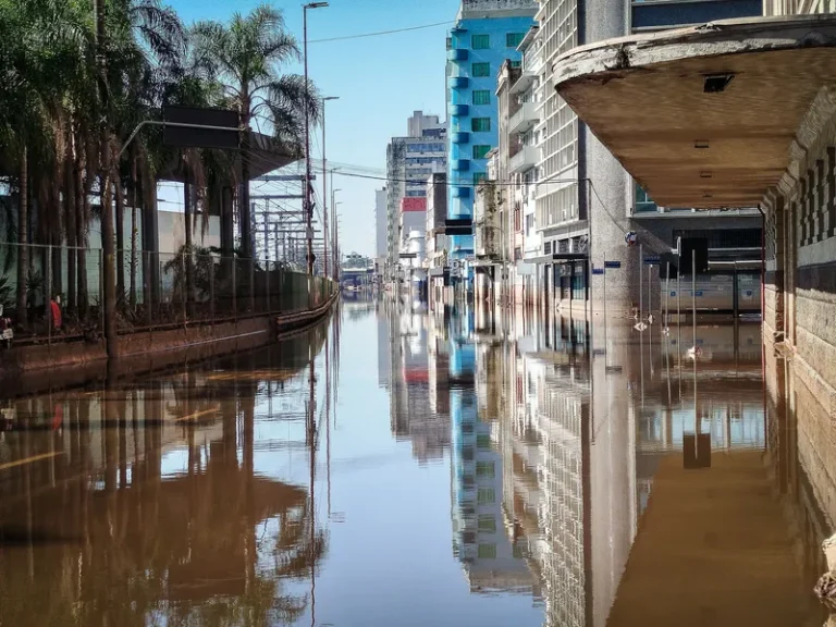 'Porto Alegre tem muita casa sem gente e muita gente sem casa'