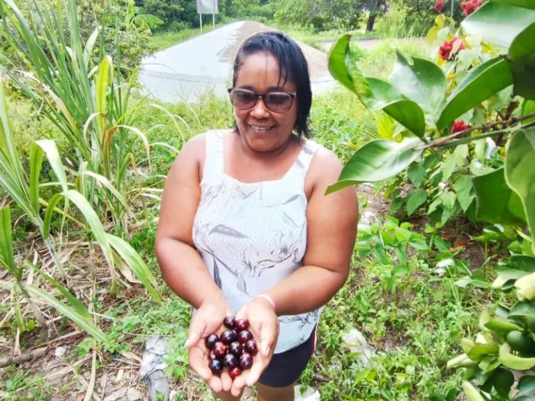 Conheça o método Lume, usado por agricultores para compartilhar experiências agroecológicas