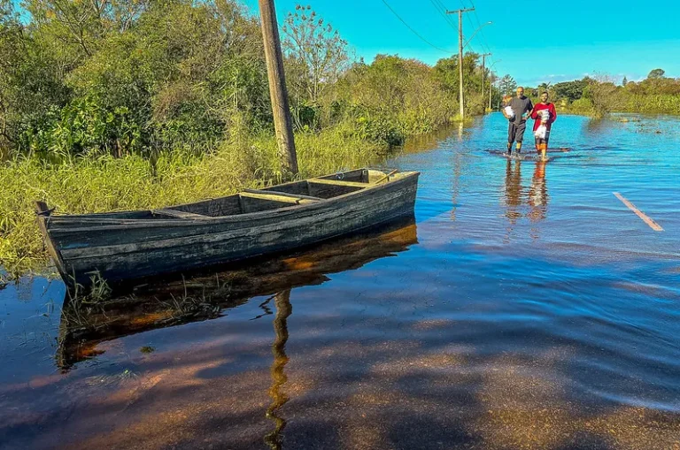 Pandemia de covid-19 e catástrofe climática no RS, um paralelo necessário
