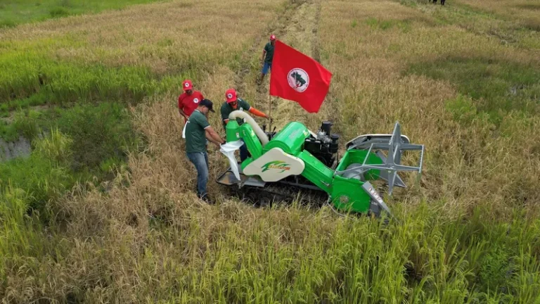 'Pequenas máquinas agrícolas são uma necessidade para agricultura', diz pesquisadora da China