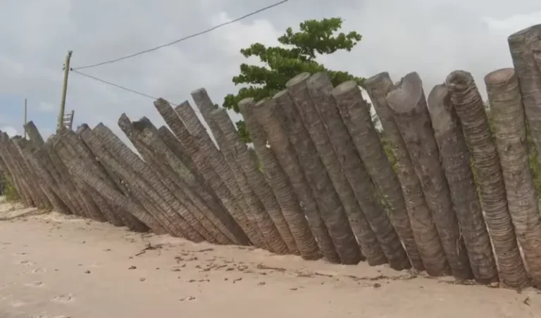 Por Maracaípe e pelo litoral brasileiro: tirem as mãos da nossa praia!