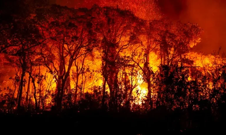 'Estamos em uma das piores situações', diz Marina sobre Pantanal