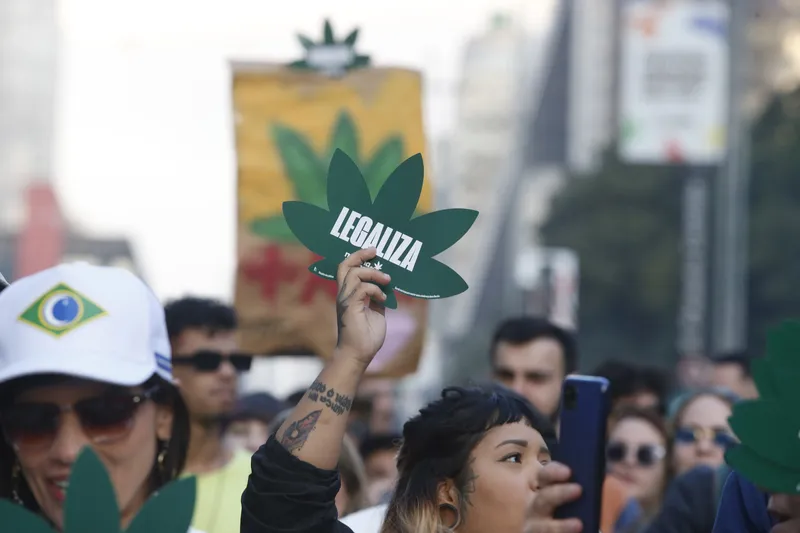 O STF definiu 40 gramas de maconha ou seis plantas fêmeas como critério objetivo para diferenciar o usuário de maconha do traficante