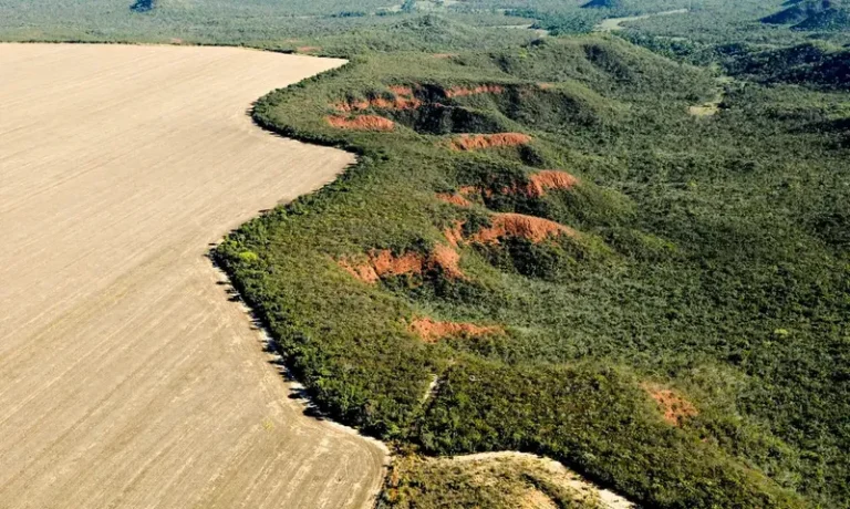 PL da Devastação: carta branca para a exploração predatória no Brasil