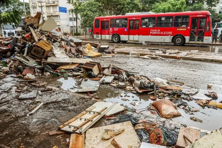 As consequências do negacionismo em um contexto de emergência climática