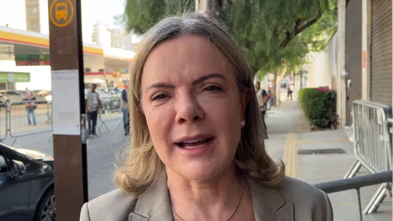 'O mercado deveria se submeter ao voto' se quer comandar o país, defende Gleisi
