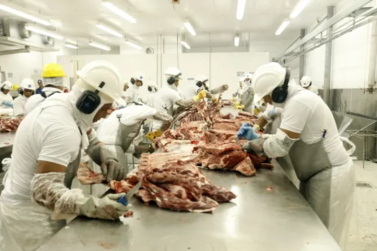 Criação de GT reacende polêmica sobre privatização da inspeção agropecuária