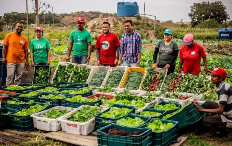 População não tem dimensão da importância da agricultura familiar, diz coordenador do MST