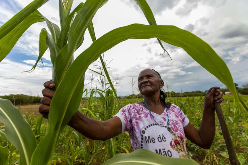 As propostas técnicas apresentadas ao FEDAF deverão ser elaboradas por entidade credenciada junto ao conselho estadual de desenvolvimento rural.