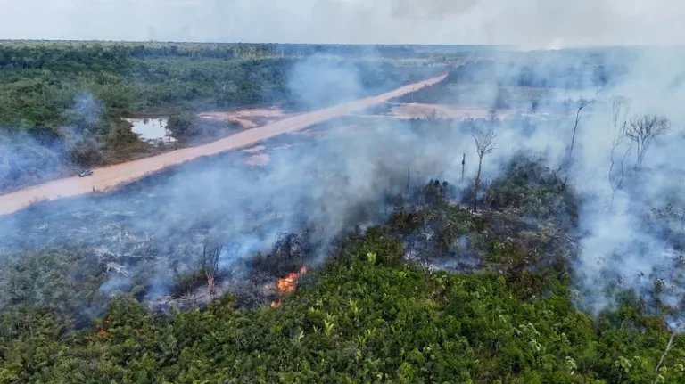 Como mudanças climáticas impulsionam incêndios no Brasil