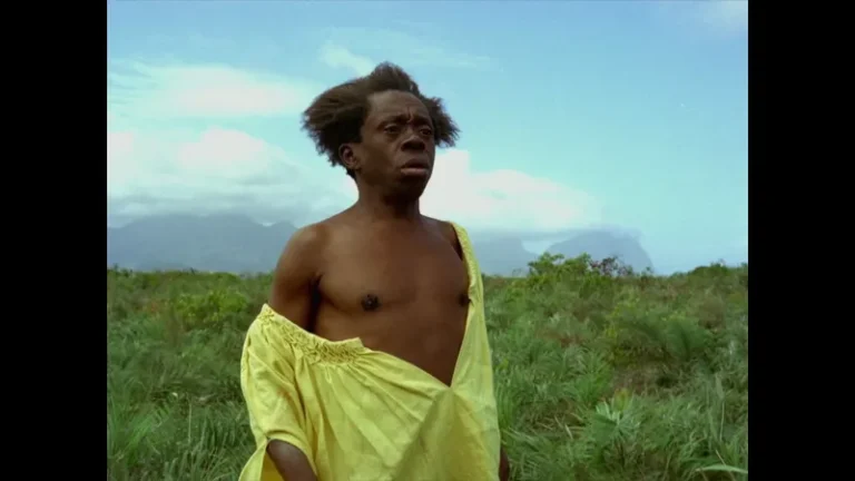 Sobre cinema brasileiro e a proposição de humanidade dos cinemas negros