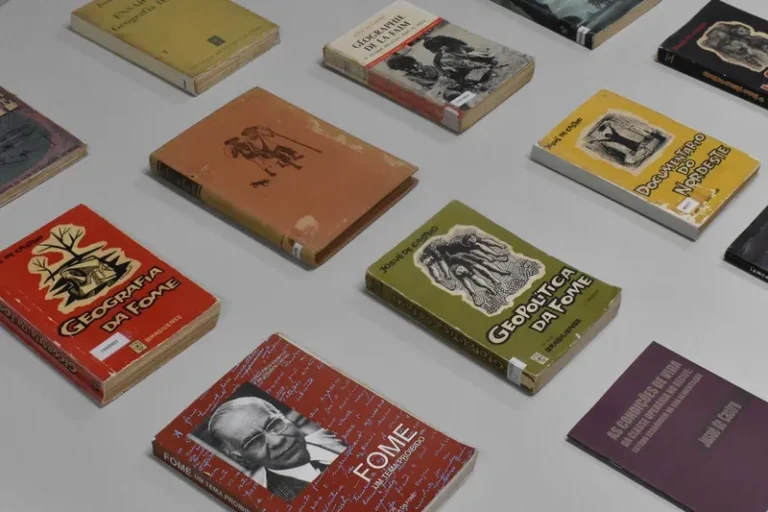 Literatura brasileira contemporânea: um baile assimétrico