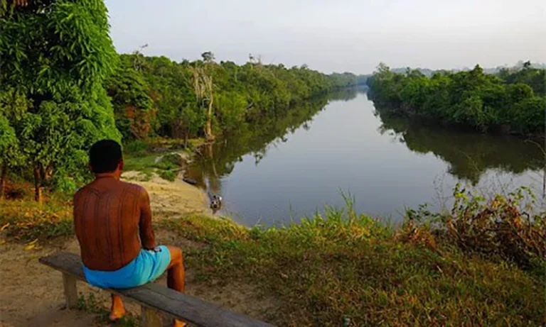 Proteção de povos originários faz de terras indígenas as áreas mais preservadas do Brasil