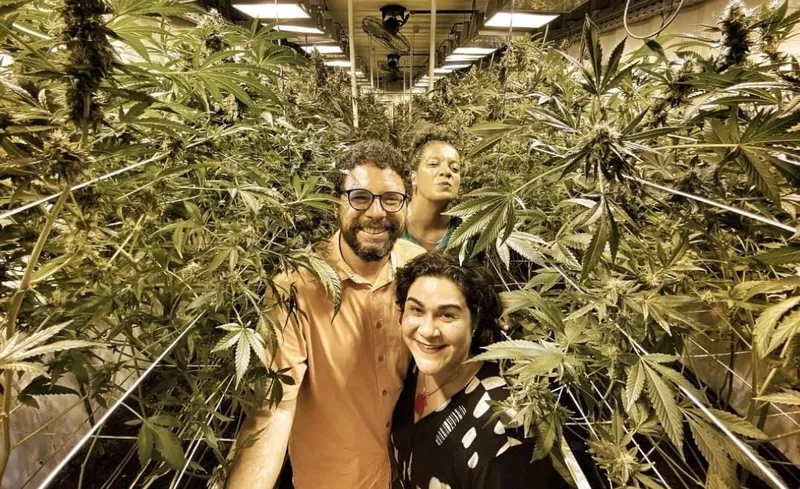O vereador Ivan Moraes (PSOL Recife) não está candidato à reeleição; suas assessorias Nise Santos e Carol Vergolino estão ambas candidatas pelo PSOL, mas não têm a cannabis como pauta prioritária