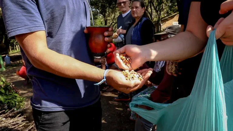 Retomada Mbyá Guarani de Viamão recebe Sementes de Solidariedade
