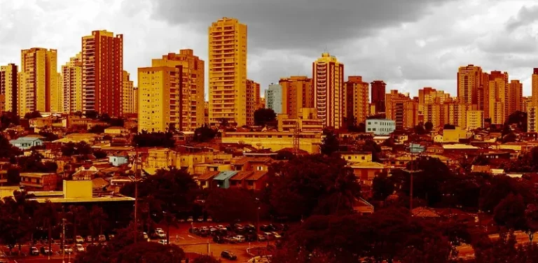 Em São Paulo, dois milhões passam fome e mais da metade vive em insegurança alimentar