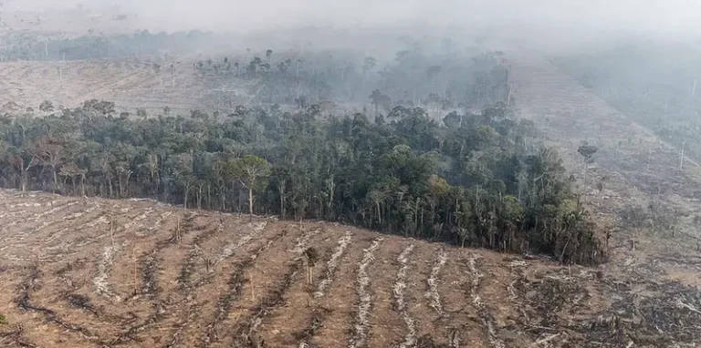 Protesto contra PL da Devastação dá início à Semana do Meio Ambiente na capital gaúcha